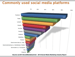 2015 social media survey report