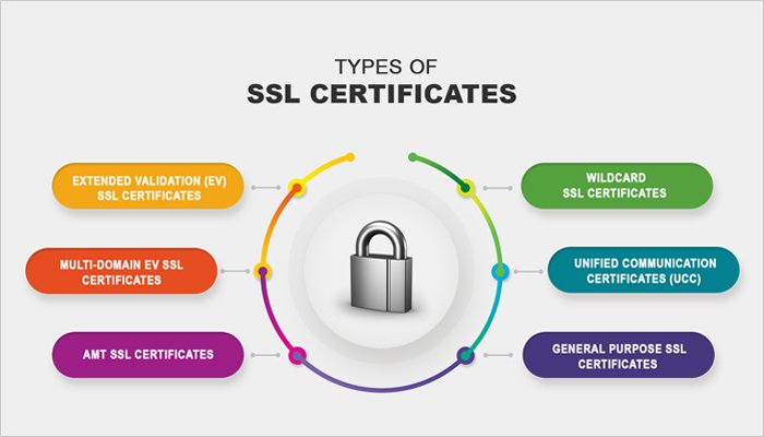 types-of-ssl-certificates